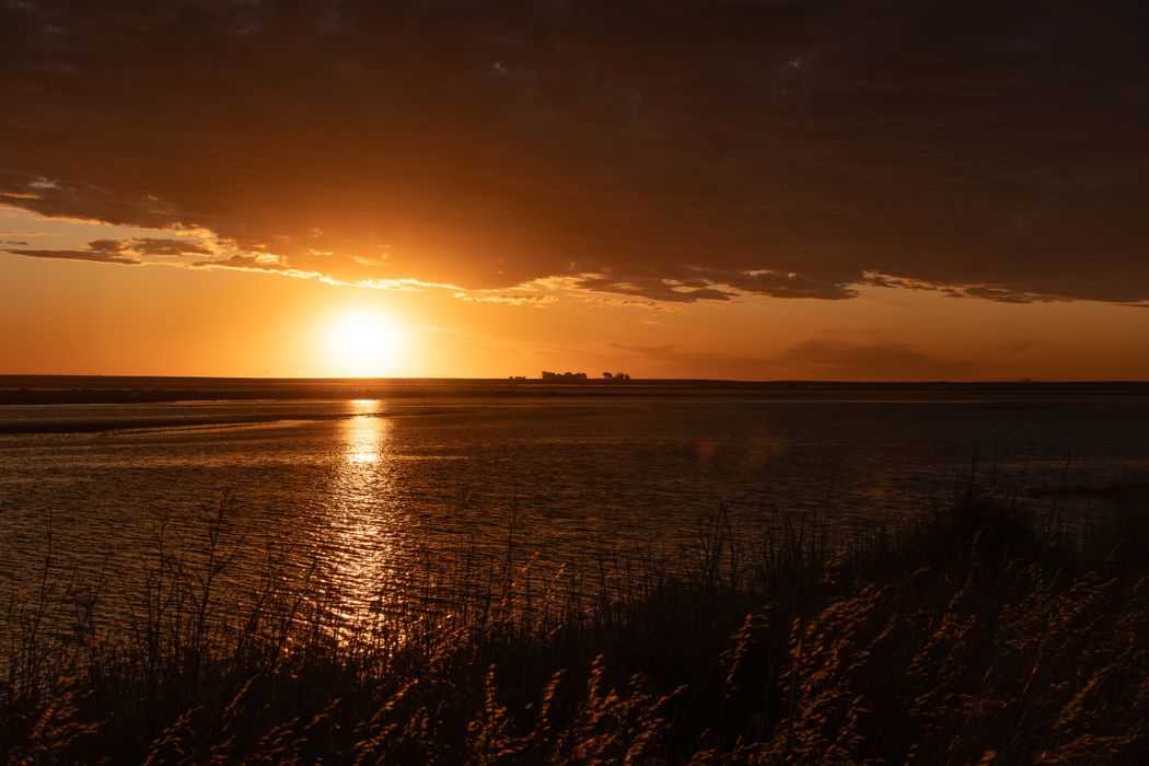 Ría de San Blas, Provincia de Buenos Aires, Argentina.