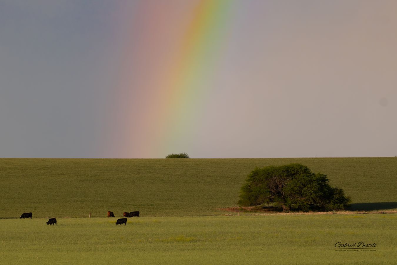 Guatraché, La Pampa, Argentina.