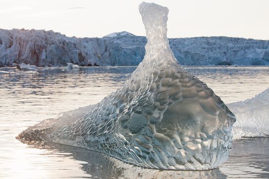 Ice Whale
