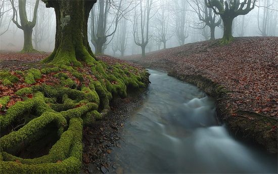 Gorbea Bizkaia