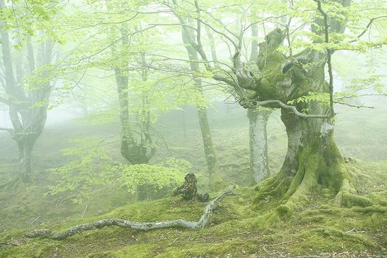  Ipiñaburu Gorbea Bizkaia 