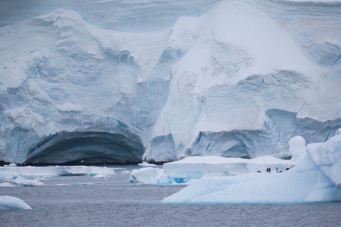 Iceberg, Paradise Harbour