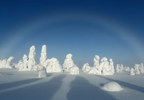 Arco de niebla, Riisitunturi, Finlandia, Febrero 2013.