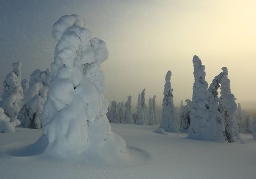 El resplandor, Riisitunturi, Finlandia, Febrero 2013.
