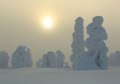 Niebla dorada I, Riisitunturi, Finlandia, Febrero 2013.