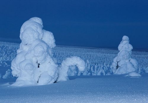 Night is coming, Riisitunturi, Finland, February 2013.