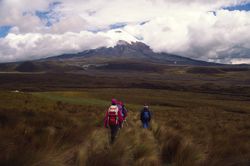 Caminando por Los Andes