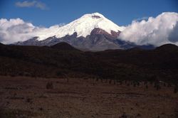 El Cotopaxi al fondo