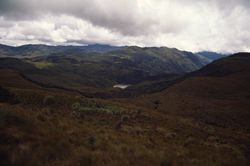 Caminando por Los Andes