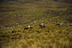 Cabalgando por Los Andes