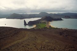 Las Galápagos