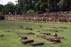 La Naturaleza intenta recuperar lo que es suyo