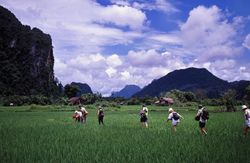 Van Vieng