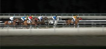 Ganador