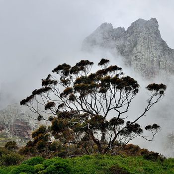 Paisaje / Landscape