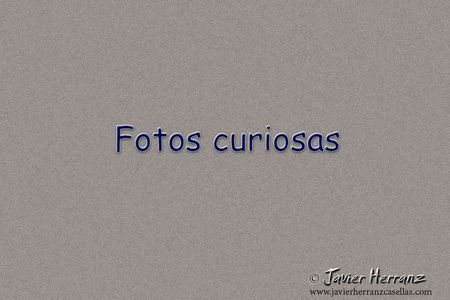 Mis fotos curiosas / My curious photos