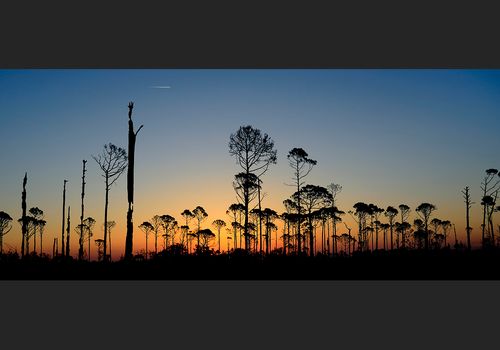 Bronze Medal Landscape, Pano Awards 2024, Australia____Finalist Narava Landscape 2022, Slovenia.