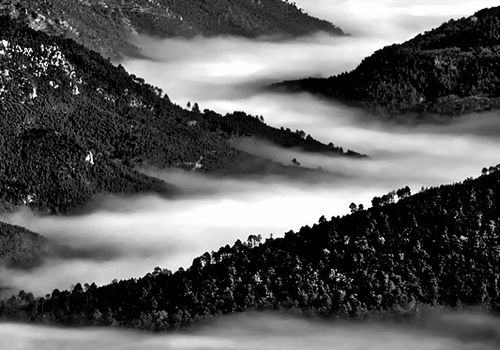 Honourable Mention Landscape Monochrome Awards, 2024, USA.