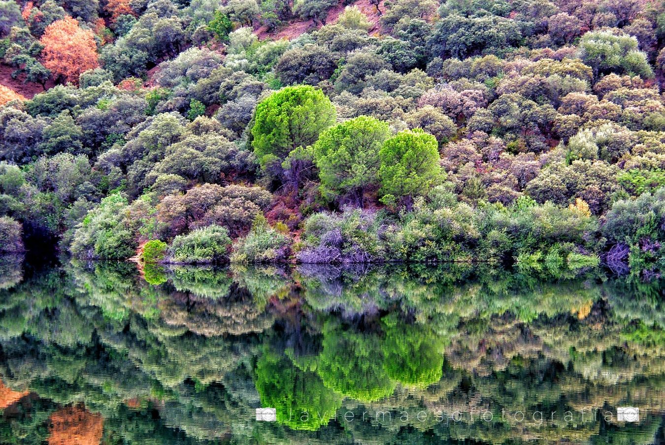 Presa Picadas (Madrid)