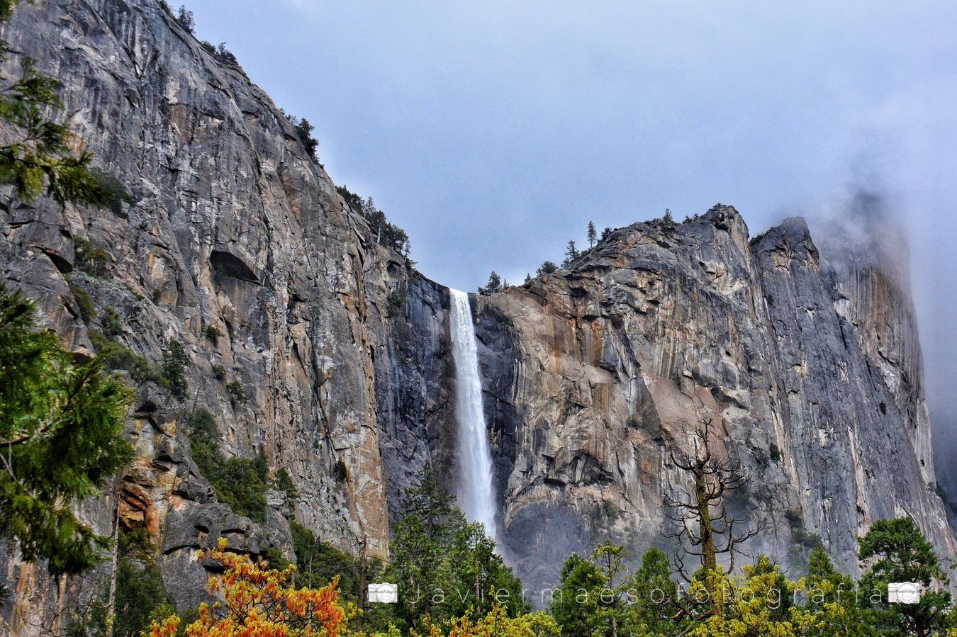 Parque Yosemite (E.E.U.U.)