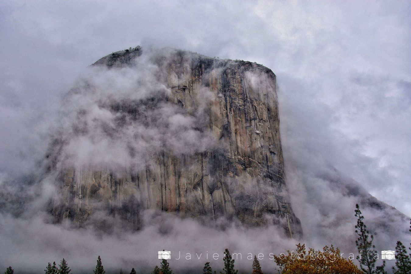 Parque Yosemite (E.E.U.U.)