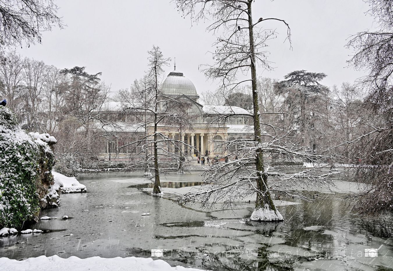 Palacio de Cristal - El Retiro (Madrid)