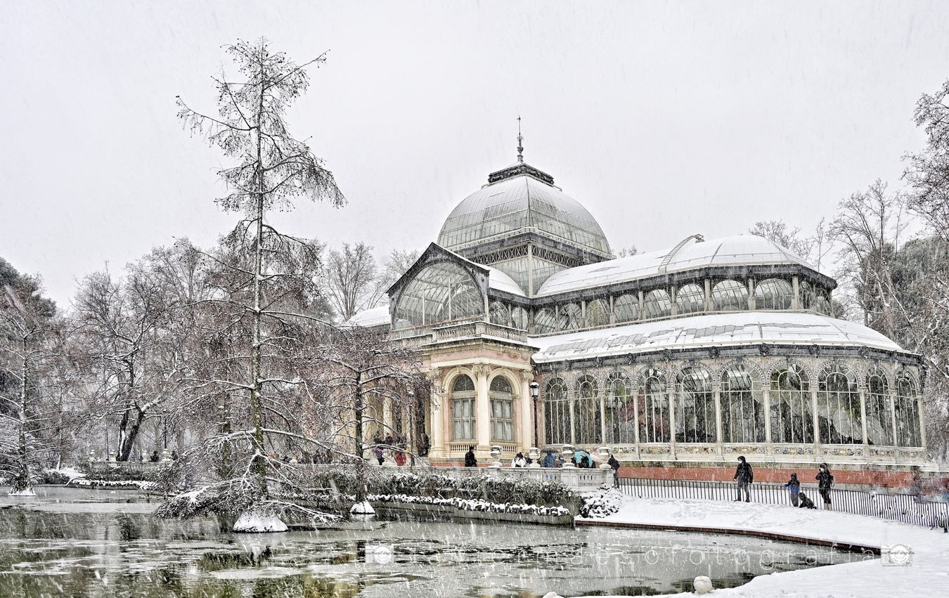 Palacio de Cristal - El Retiro (Madrid)