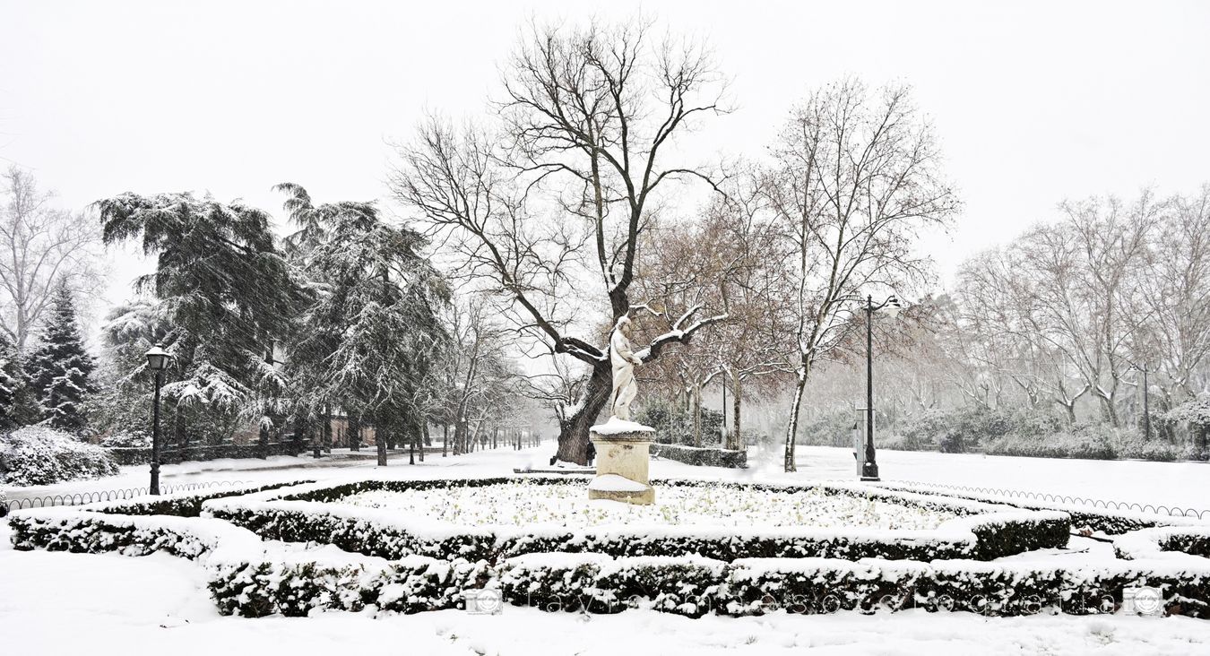 Parque del Retiro (Madrid)