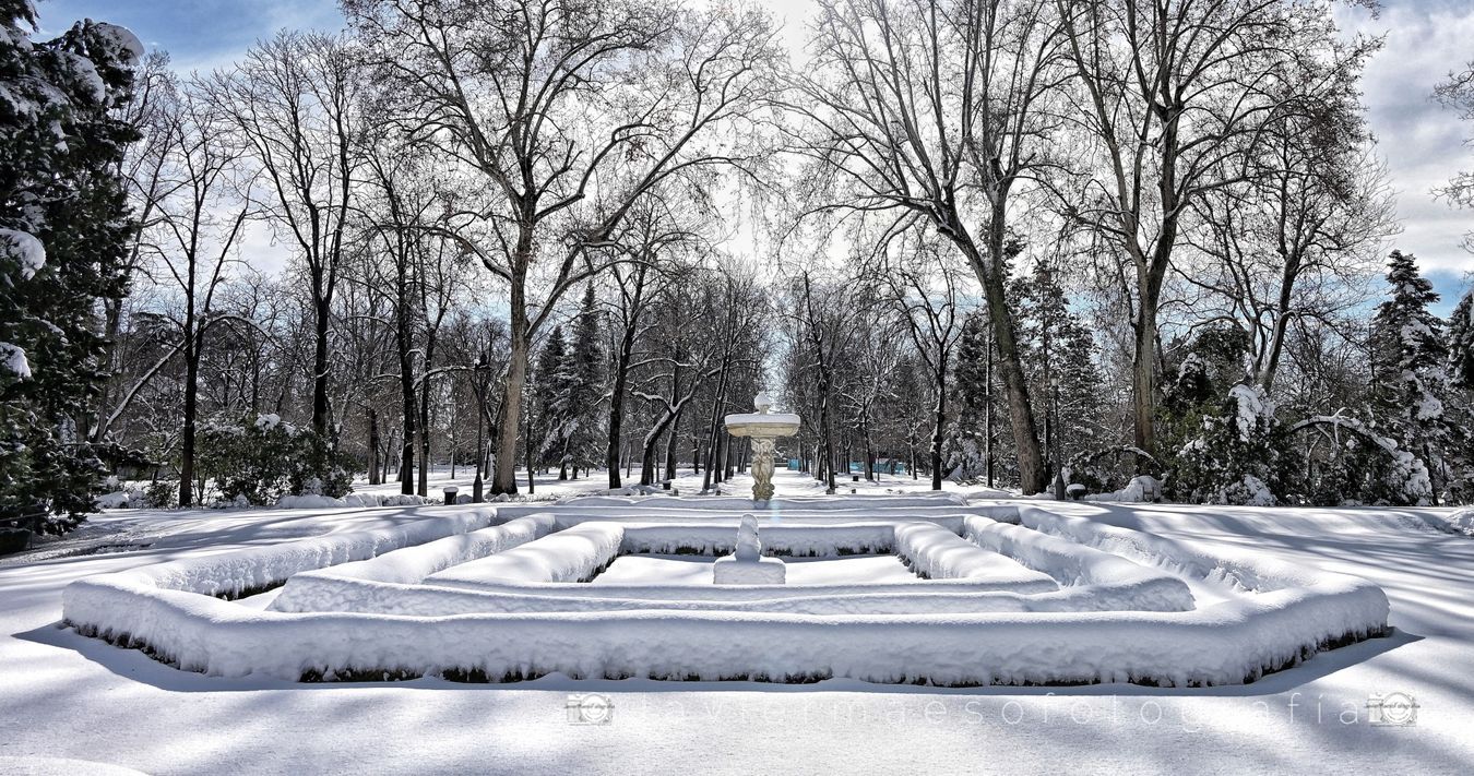 Parque del Retiro (Madrid)