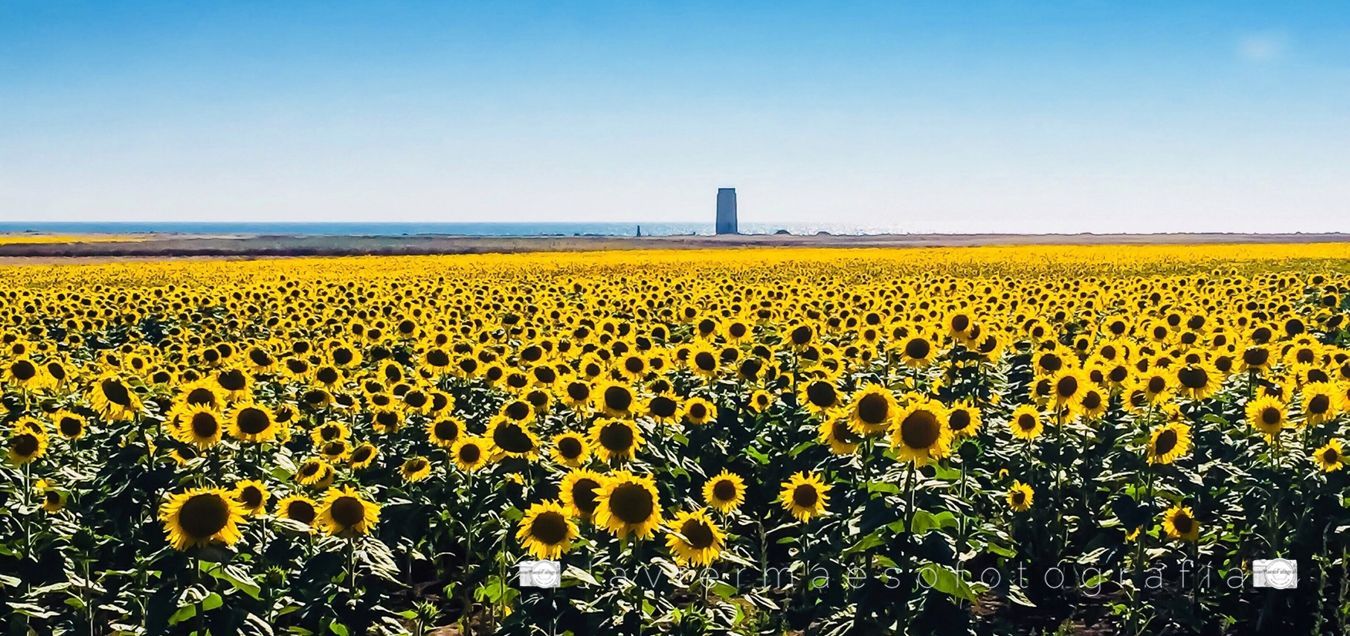 Conil de la Frontera - Cádiz 