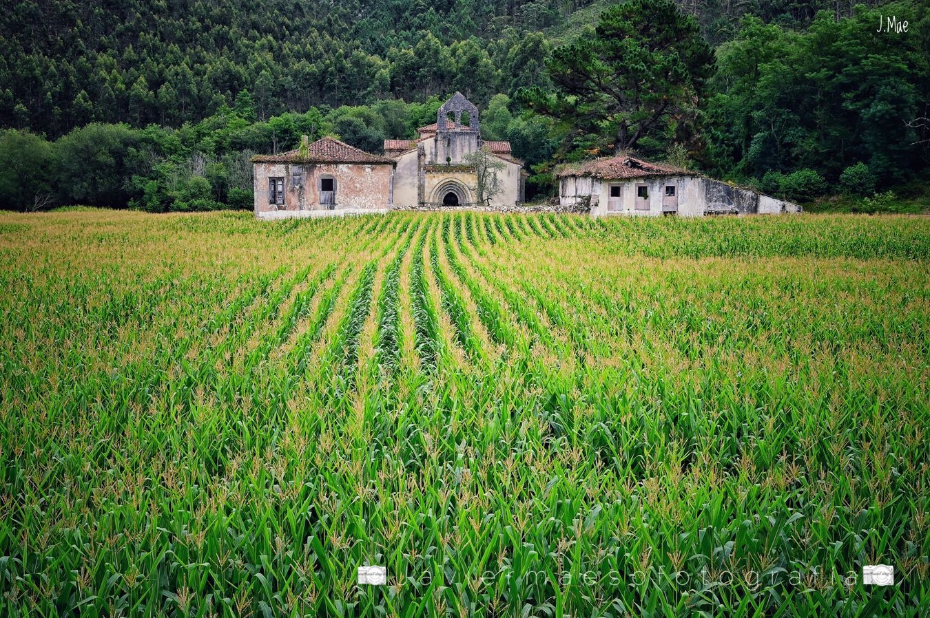 San Antolín de Bedon - Asturias