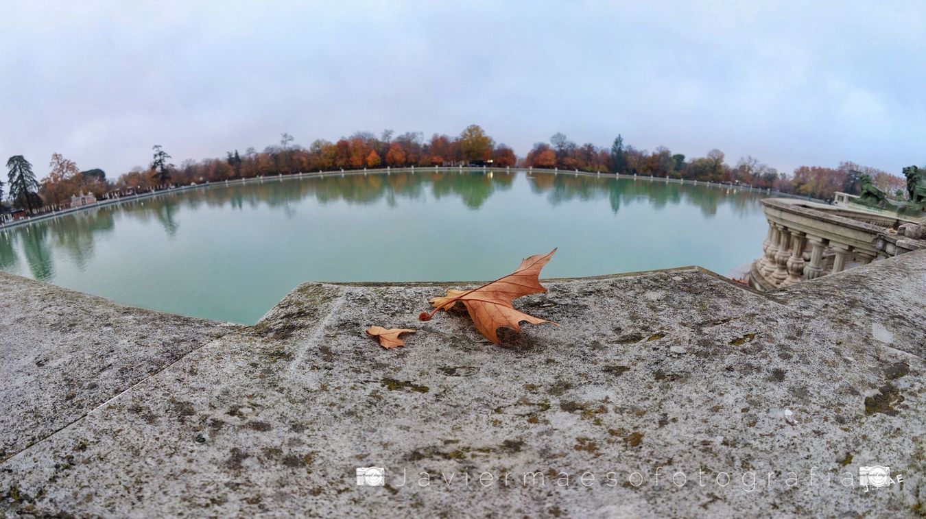 Parque del Retiro