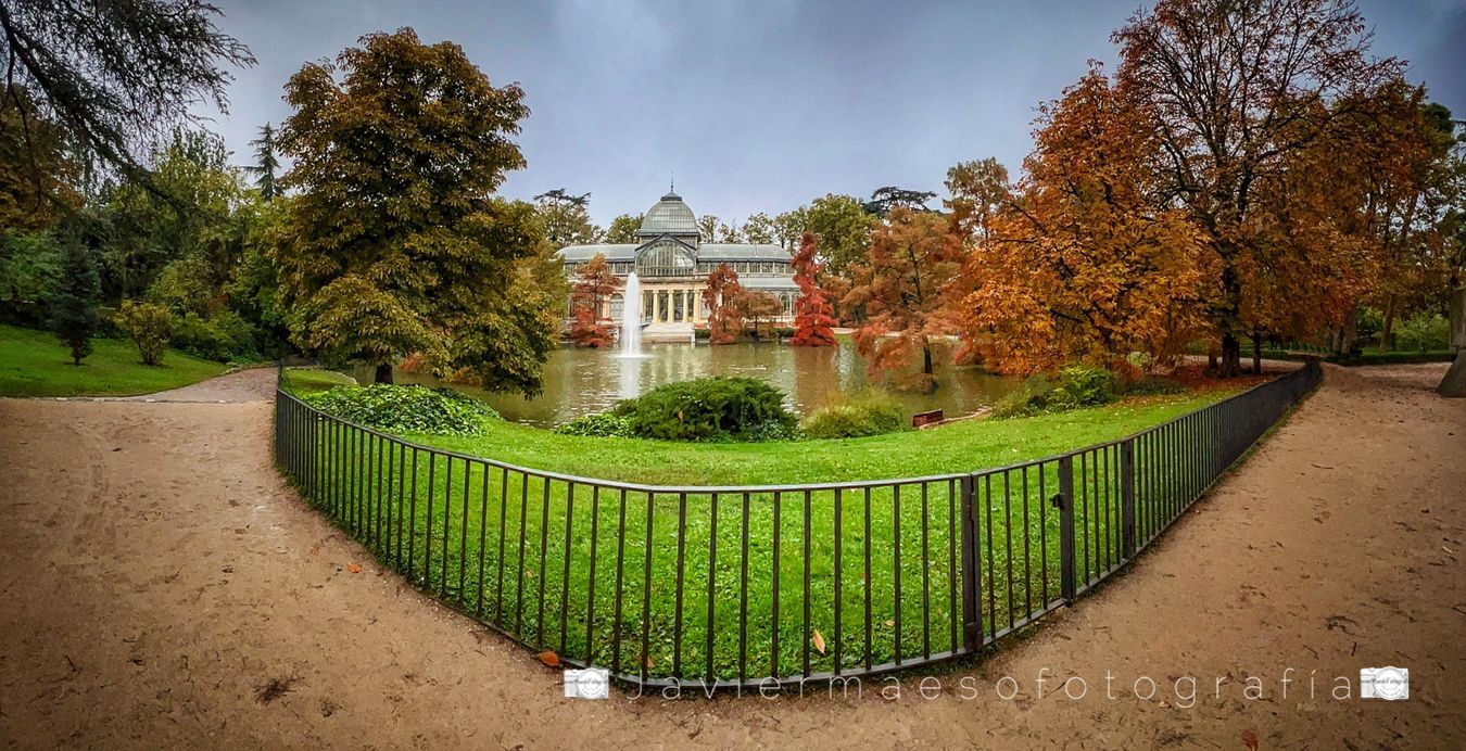 Palacio de Cristal -  Parque del Retiro