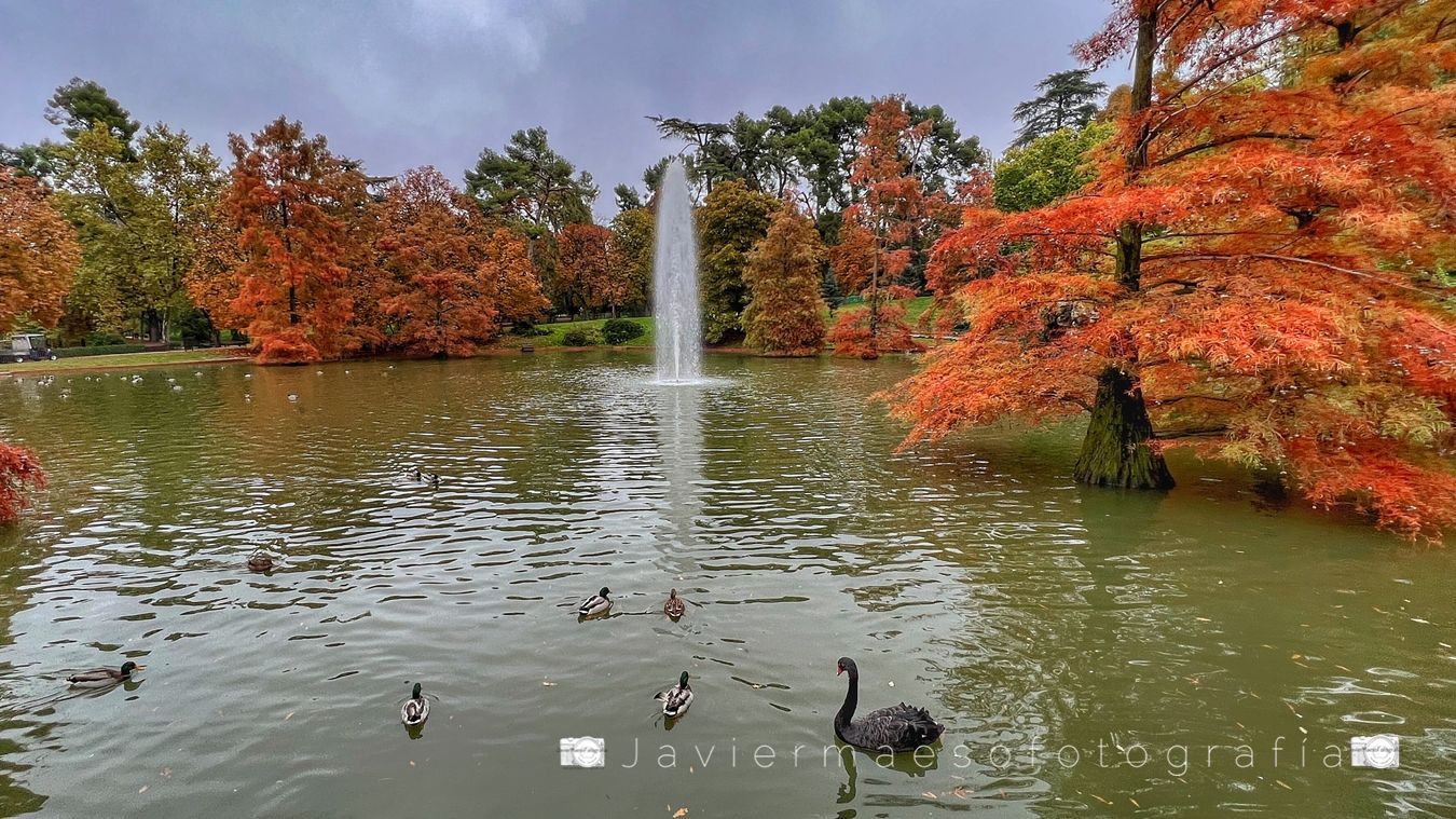 Estanque Palacio de Cristal - El Retiro