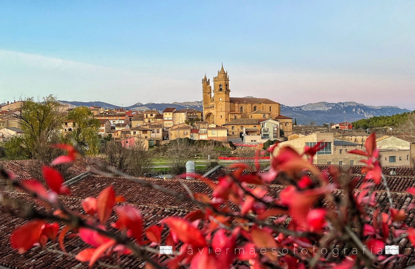 Elciego (Rioja Alavesa) 