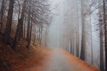 Parque Yosemite (E.E.U.U.)