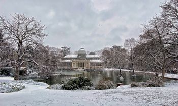 Palacio de Cristal - El Retiro (Madrid)