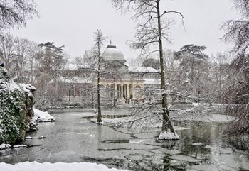 Palacio de Cristal - El Retiro (Madrid)