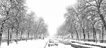 Parque del Retiro (Madrid)