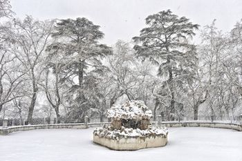 Parque del Retiro (Madrid)