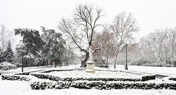 Parque del Retiro (Madrid)