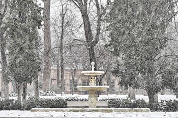 Parque del Retiro (Madrid)