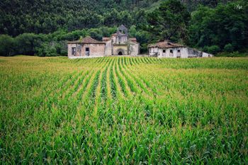 San Antolín de Bedon - Asturias