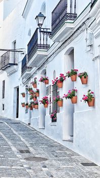 Vejer de la Frontera - Cádiz