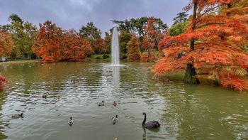 Estanque Palacio de Cristal - El Retiro