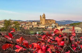 Elciego (Rioja Alavesa) 