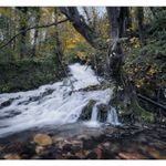 large stream of water surrounding a tree with autumn tones