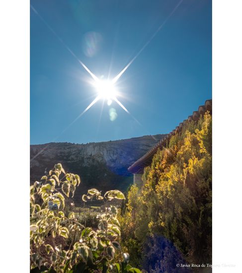 Fotografía de Javier Roca de Togores Ginestar
