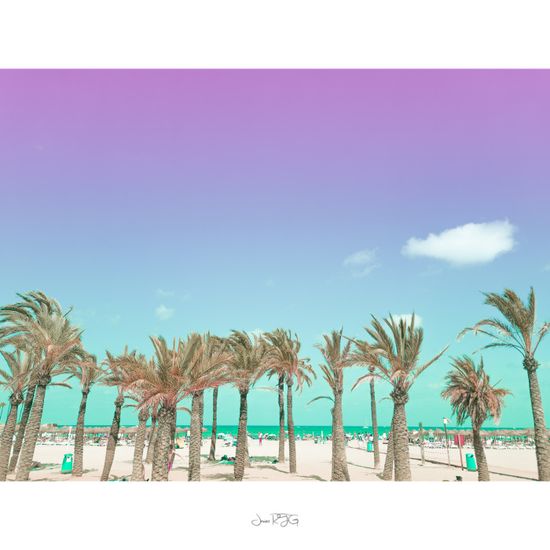 Fotografía de Javier Roca de Togores Ginestar