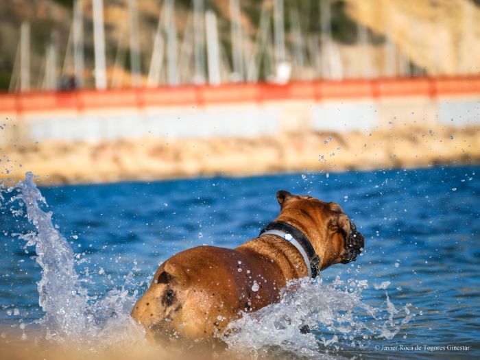 Fotografía de Javier Roca de Togores Ginestar